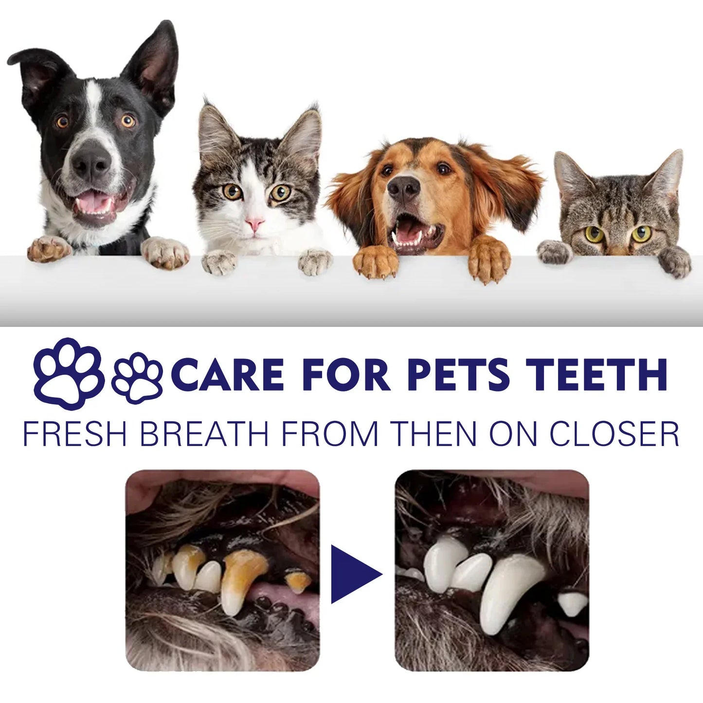 Pet Teeth Toothpaste V34 Deep Cleaning Teeth Mouth Deodorant Reduce Plaque Stain Dental Calculus Fresh Breath Pet Oral Care
