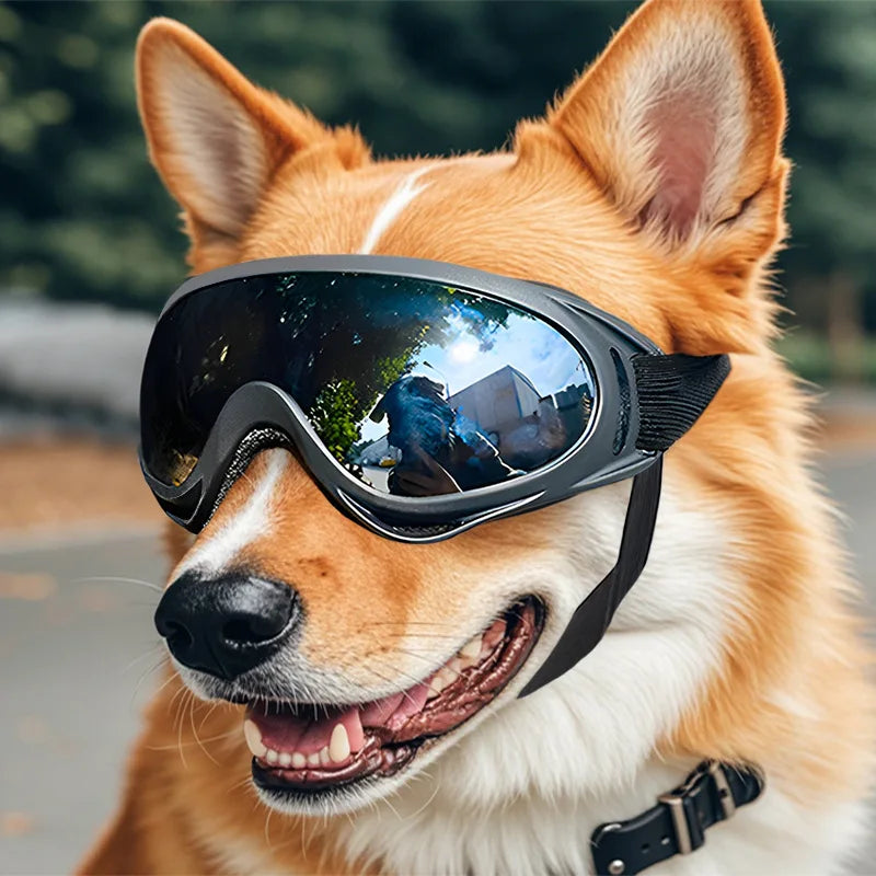 Dog Glasses Outdoor Pet Goggles for Large Dogs Windproof Outdoor Riding Dog Goggles UV Protection Dog Accessories Dog Collar