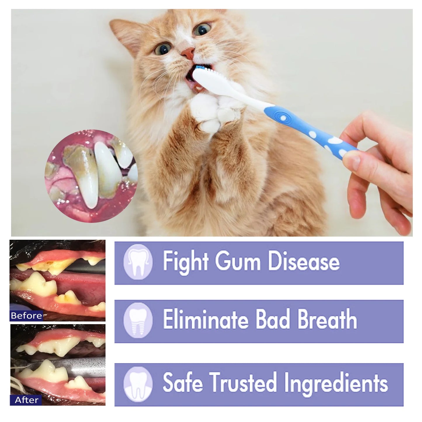 Pet Teeth Toothpaste V34 Deep Cleaning Teeth Mouth Deodorant Reduce Plaque Stain Dental Calculus Fresh Breath Pet Oral Care