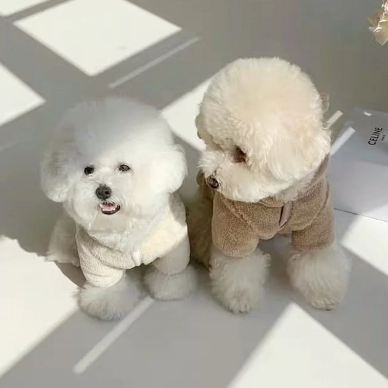 Winter Dog Clothes for Small Medium Dogs Hoodies Cute Print Puppy Sweatshirts Luxury Cat Hoodies Pet Pullovers Chihuahua Clothes