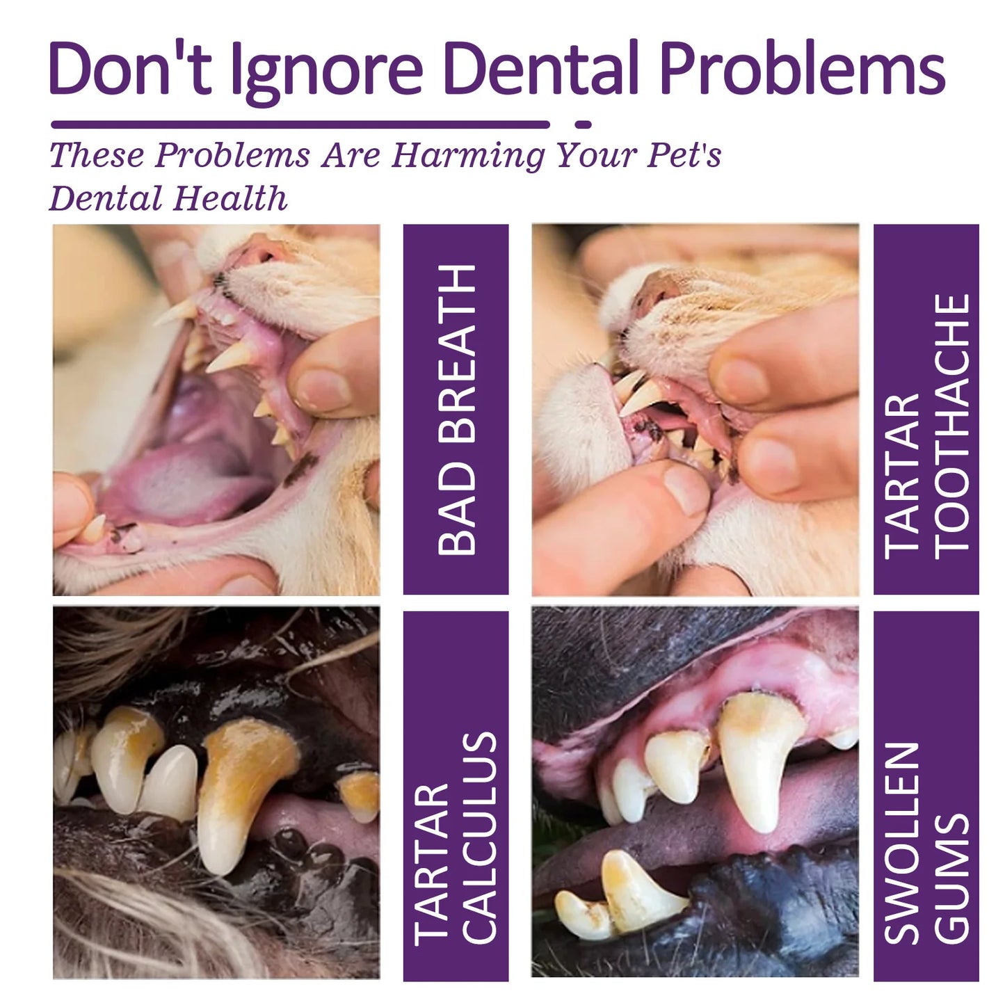 Pet Teeth Toothpaste V34 Deep Cleaning Teeth Mouth Deodorant Reduce Plaque Stain Dental Calculus Fresh Breath Pet Oral Care