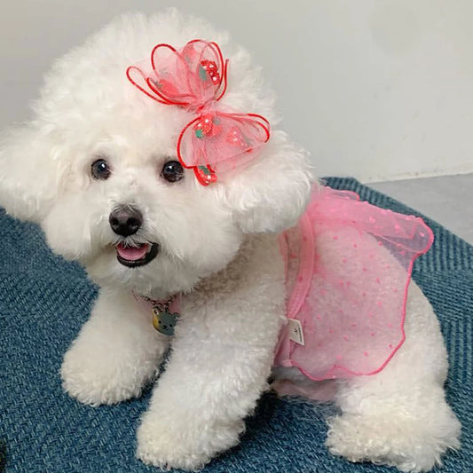 Puppy Summer Clothes Thin Dog Dress for Small Dog Clothes for Pets Clothing Summer Cooling Cat Clothes Cute girl Mesh Dress Dogs