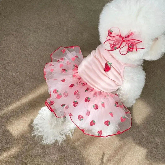 Summer Strawberry Dress for Dog Pet Clothing Dog Suspender Skirt Dog Clothes Cats Puppy Print Cute Mesh Dress Pet Supplies