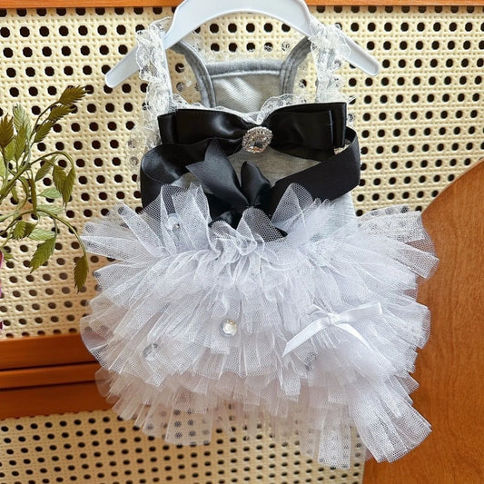 Pet Mesh Dress Teddy Yorkshire Cute Small Puppy Dog Clothing Princess Style Dog Clothes for Small Dogs Puppy Clothes