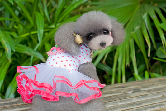 Dog Princess Dresses Puppy Cherry Dot Dress Tutu Skirt Mesh Pet Dog Party Summer Dresses For Small Medium Cat