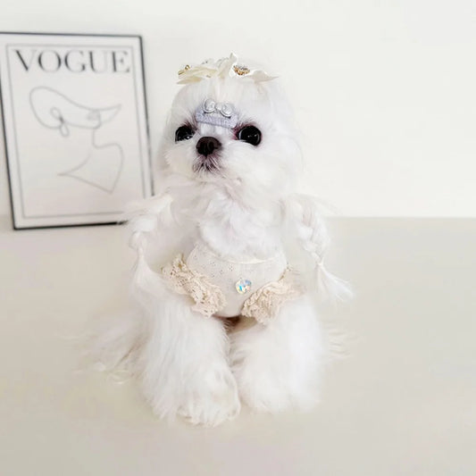 Pet Mesh Base Dress, Breathable Mesh Fluffy Lace Lace Sleeves Beige Gauze Skirt Dog Clothes for Small Dogs Puppy Clothes