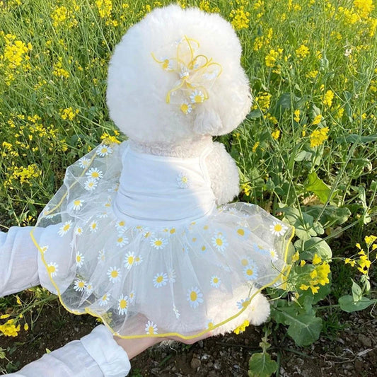 Dog Suspender Skirt Summer Strawberry Dress for Dogs Pet Clothing Dog Clothes Cats Puppy Print Cute Dogs Mesh Dress Pet Supplies