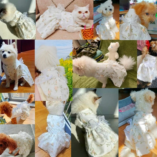 Summer Dog Dress Luxury Dog Clothes Pet Dog Apparel Bow Puppy Mesh Skirt Chihuahua Bichon Clothing Kitten Lace Dog Cooling Vest